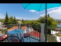 Apartementen Dalis - open swimming pool: A1 kat(4+1), A2 prizemlje(4) Baai Osibova (Milna) - Eiland Brac  - Kroatië  - Appartement - A1 kat(4+1): terras
