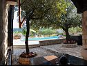 Vakantiehuizen Tonka - with pool; H(4+2) Pucisca - Eiland Brac  - Kroatië  - tuin