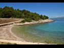 Vakantiehuizen Branko - large terrace : H(2) Baai Vela Lozna (Postira) - Eiland Brac  - Kroatië  - strand