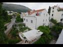 Apartementen en kamers Andri - 100m from sea: A1 Andrea(2+2), A2 Nika(2) Dubrovnik - Riviera Dubrovnik  - huis