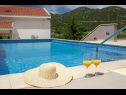 Vakantiehuizen Vedran - with beautiful lake view and private pool: H(7) Peracko Blato - Riviera Dubrovnik  - Kroatië  - zwembad