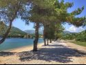 Apartementen Leo - sea view & comfortable: A1(6) Ploce - Riviera Dubrovnik  - strand