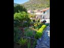 Apartementen Silverija - garden and parking: SA1(2+1), SA2(2), SA3(2), SA4(2) Trsteno - Riviera Dubrovnik  - moestuin