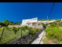 Apartementen Gordana A1(4) Zaton (Dubrovnik) - Riviera Dubrovnik  - huis