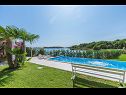 Apartementen Dream - 20 m from sea: Gold(3) Medulin - Istrië  - zwembad (huis en omgeving)