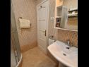 Apartementen Ena - with free private parking: A1 Anthea (2+2), A2 Floki (2+2) Rovinj - Istrië  - Appartement - A1 Anthea (2+2): badkamer met toilet