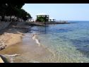 Apartementen Eli - 50m from the sea: A3(4) Umag - Istrië  - strand