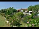 Vakantiehuizen Gurianum - with pool: H(8) Vodnjan - Istrië  - Kroatië  - bloemenperken (huis en omgeving)
