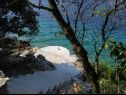 Vakantiehuizen Vers - 35m from the sea: H(4+2) Baai Picena (Vela Luka) - Eiland Korcula  - Kroatië  - strand