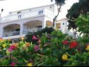 Apartementen Dijana - 20m from the sea A1 Antica(4+1), A2 Diana(2+1), A3 Mirela(2+1) Prigradica - Eiland Korcula  - huis