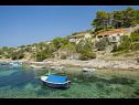Vakantiehuizen Villa Bistrana - 15m from sea: H(4) Baai Tankaraca (Vela Luka) - Eiland Korcula  - Kroatië  - huis