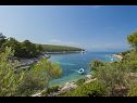 Vakantiehuizen Villa Bistrana - 15m from sea: H(4) Baai Tankaraca (Vela Luka) - Eiland Korcula  - Kroatië  - uitzicht