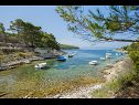 Vakantiehuizen Villa Bistrana - 15m from sea: H(4) Baai Tankaraca (Vela Luka) - Eiland Korcula  - Kroatië  - strand