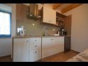 Apartementen Insula Insule - rustic & peaceful: SA1(2+1), SA2(2+1) Skrbcici - Eiland Krk  - Studio-appartment - SA2(2+1): keuken
