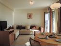 Apartementen Smilja - 150 m from pebble beach: A1(2+2), A2(2+1), SA3(2) Baska Voda - Riviera Makarska  - Appartement - A1(2+2): woonkamer