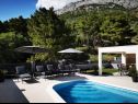 Apartementen Villa Esse - heated pool & seaview: A1(2+2), A2(4+2), A3(2+2), A4(4+2), A5(2+2) Baska Voda - Riviera Makarska  - zwembad