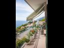 Apartementen Ante - seaview A1(5), SA2(3), SA3(2+1) Brela - Riviera Makarska  - Studio-appartment - SA3(2+1): balkon