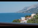 Apartementen Ruze - 200 m from sea : A1(6+1), A2(8+1) Brela - Riviera Makarska  - Appartement - A2(8+1): uitzicht