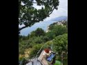 Apartementen Mare - 150 m from beach SA1(2), A2(4+1), A3(4+2) Brela - Riviera Makarska  - uitzicht (huis en omgeving)