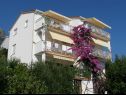 Apartementen Kate - 20m from the beach: A1(2+2), A2(2+2) Brist - Riviera Makarska  - huis