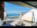 Apartementen Jure - terrace with amazing sea view: A1 Leona (6+2), A2 Ivano (6+2) Brist - Riviera Makarska  - huis