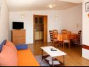 Apartementen Biljana - 150m from beach: A1(2+1), A2(2+2), A3(5), A4(2+2) Gradac - Riviera Makarska  - Appartement - A4(2+2): woonkamer