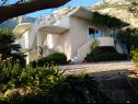 Apartementen Viki - seaview & garden terrace: A1(6) Makarska - Riviera Makarska  - huis