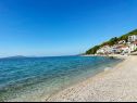Apartementen Tomo - 10 m from beach: A1(2+2), SA2(2) Zaostrog - Riviera Makarska  - strand
