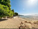 Apartementen Tomo - 10 m from beach: A1(2+2), SA2(2) Zaostrog - Riviera Makarska  - strand