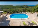 Vakantiehuizen Stone - pool house: H(4) Babino Polje - Eiland Mljet  - Kroatië  - zwembad (huis en omgeving)