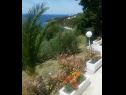 Apartementen Đuro - panoramic sea view: A3(3+1), A5(5) Stanici - Riviera Omis  - uitzicht op zee (huis en omgeving)