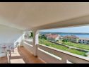 Apartementen Kosta - 150 m from beach: A1(3), A3(4+1), A4 Kat (2+1) Kustici - Eiland Pag  - Appartement - A4 Kat (2+1): terras