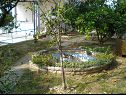 Apartementen Ren - 150 m from beach: A3(2+1) Kampor - Eiland Rab  - tuin