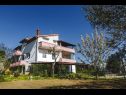 Apartementen Davorka - with sea view: A1(4+1), A2(4+1) Kampor - Eiland Rab  - huis