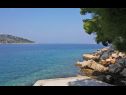 Apartementen Primo - sea view: A1(2+1), A2(4), A3(4), A4(3+1) Baai Banje (Rogac) - Eiland Solta  - Kroatië  - strand