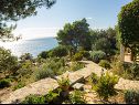 Vakantiehuizen Ani - 30 m from beach : H(4+1) Maslinica - Eiland Solta  - Kroatië  - uitzicht op zee (huis en omgeving)