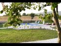 Vakantiehuizen Villa Solis - luxury with pool: H(6) Dicmo - Riviera Split  - Kroatië  - tuin