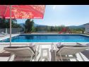 Vakantiehuizen Marijana - modern with pool: H(6+2) Trilj - Riviera Split  - Kroatië  - zwembad
