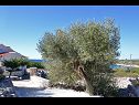 Vakantiehuizen Željko - sea view H(4+2) Drvenik Mali (Eiland Drvenik Mali) - Riviera Trogir  - Kroatië  - detail (huis en omgeving)