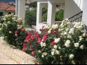 Apartementen Davorka - 50m from the sea A1(2+2), A2(2+2) Trogir - Riviera Trogir  - bloemen
