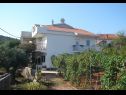 Apartementen Slaven - 50 m from beach: A1(4+2), A2(2+1), A3(4+1) Vinisce - Riviera Trogir  - huis