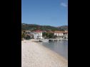 Vakantiehuizen Dinko - 20 m from sea: H(4+1) Vinisce - Riviera Trogir  - Kroatië  - strand