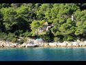 Vakantiehuizen Dob - 5m from the sea: H(4) Baai Stoncica (Vis) - Eiland Vis  - Kroatië  - huis