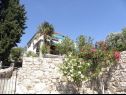 Apartementen Vlatkica - 10 m from beach: A1 Vlatkica(4), A2 Lea(4) Maslenica - Riviera Zadar  - huis