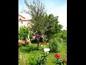 Apartementen Nika - nice garden: A1(2), A2(4+1), A3(6), A4(2) Nin - Riviera Zadar  - moestuin (huis en omgeving)