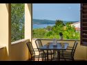 Apartementen Mari - with view: A1(4) Novigrad - Riviera Zadar  - huis