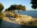 Apartementen Mis - apartments close to sea: A1(4), A2(4) Petrcane - Riviera Zadar  - strand