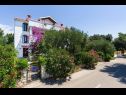 Apartementen Pupa - nice family apartments: A1 Dora(4+1), A2 Mihael(4+1), A3 Tea(2+1) Petrcane - Riviera Zadar  - huis