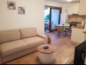 Apartementen Kike - 60 meters from the beach: A1(4+1), A2(4+1), A3(4+1), SA1(2) Petrcane - Riviera Zadar  - Appartement - A3(4+1): woonkamer