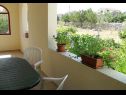 Apartementen Mario - with garden: A1(2+2), A2(4+2) Razanac - Riviera Zadar  - Appartement - A2(4+2): terras